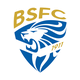 布雷西亚logo