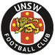 新南威尔士大学logo